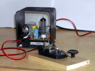 GlowBug 40
