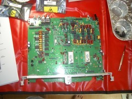 IMGP2651
