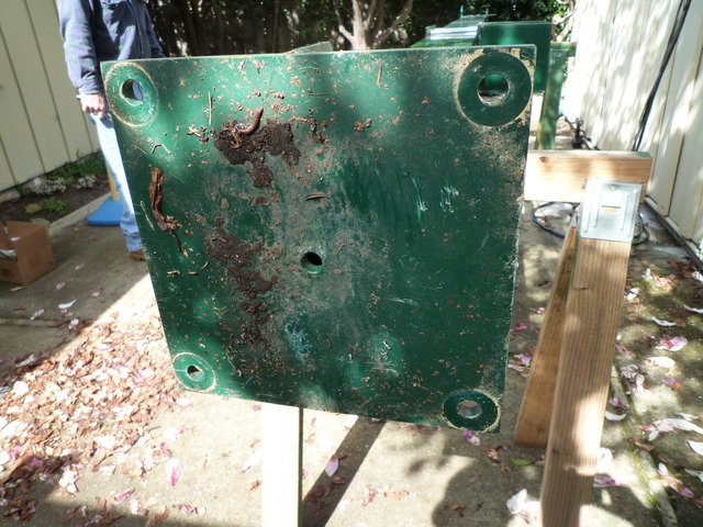 p1000273